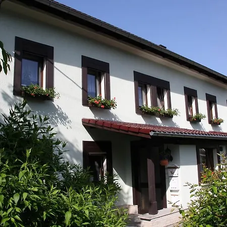 Ferienwohnung Bayer Kurort Gohrisch Exterior photo